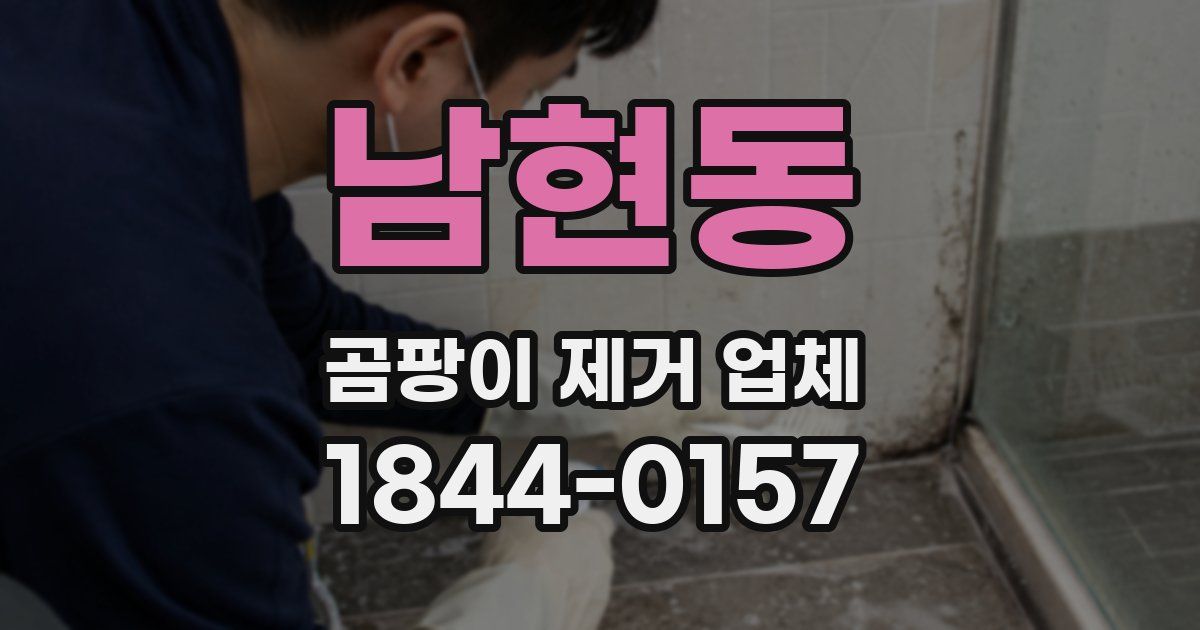 남현동 곰팡이 제거 업체