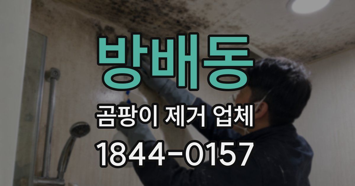 방배동 곰팡이 제거 업체