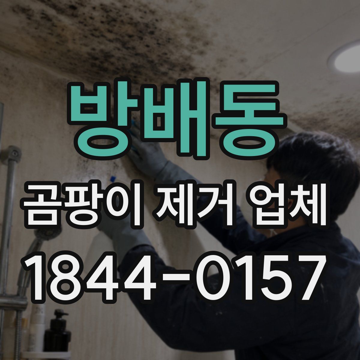 방배동 곰팡이 제거 업체