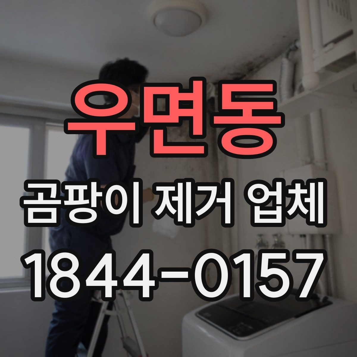 우면동 곰팡이 제거 업체 자재 교체가 필요한 오염과 유지 가능한 오염