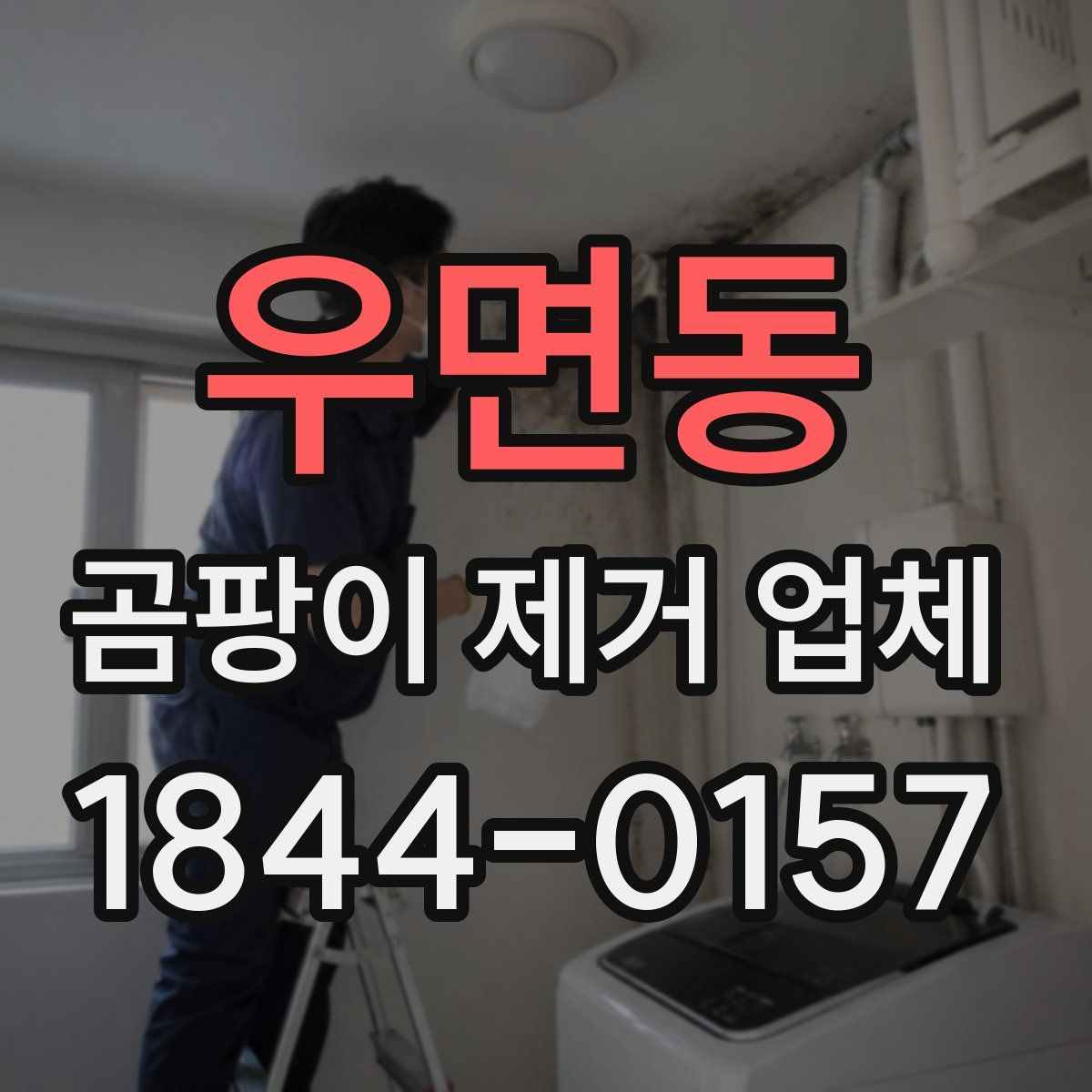 우면동 곰팡이 제거 업체