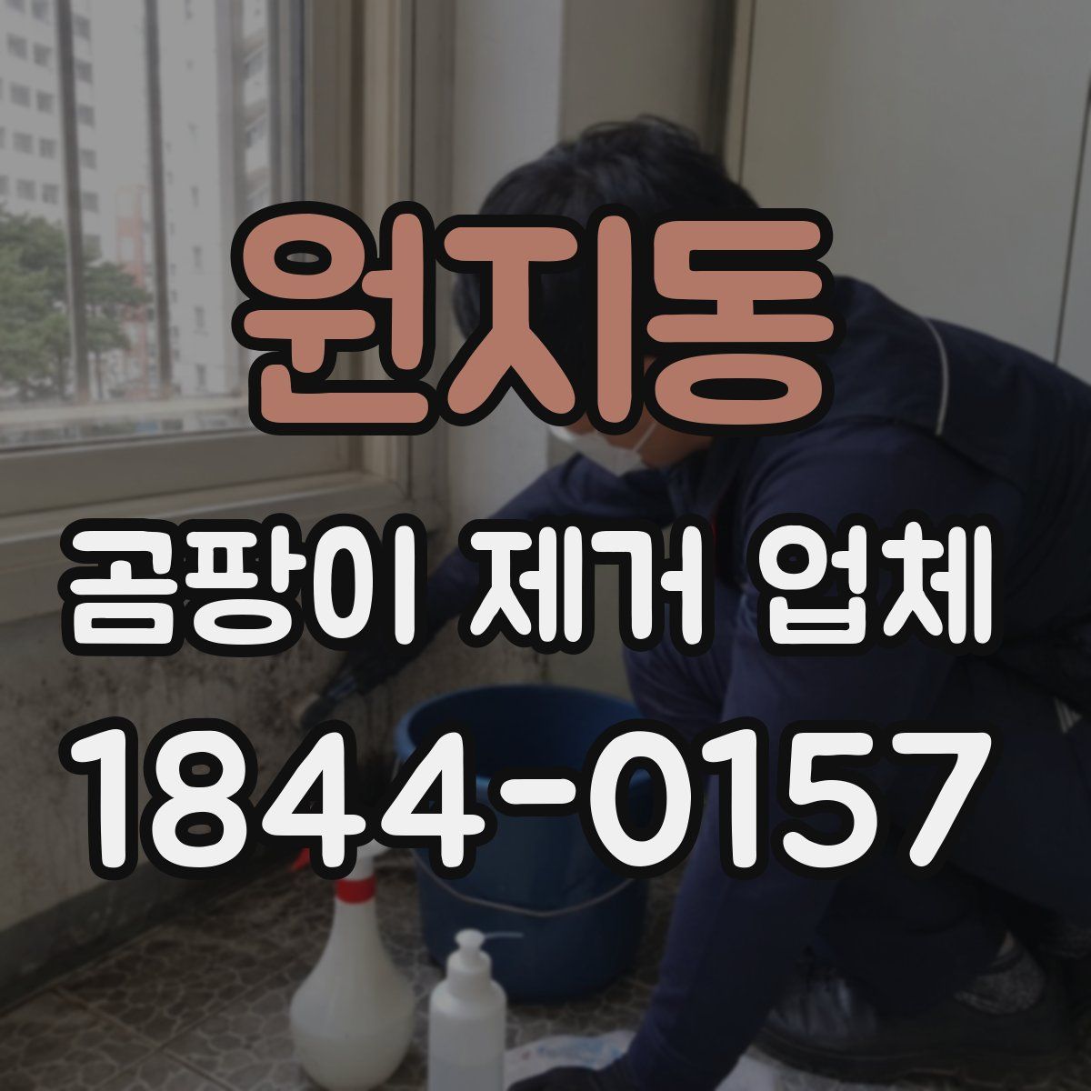 원지동 곰팡이 제거 업체