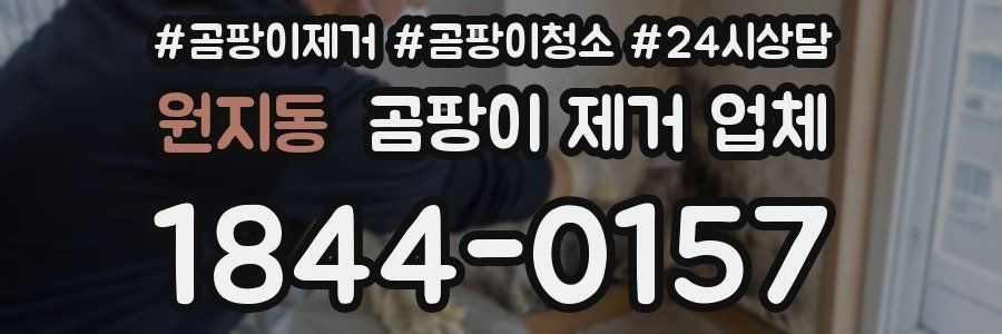 원지동 곰팡이 제거 업체