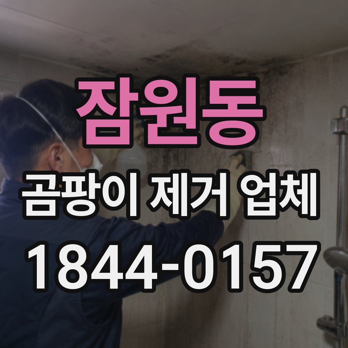 잠원동 곰팡이 제거 업체