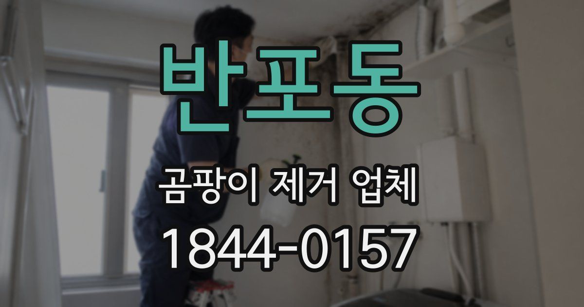 반포동 곰팡이 제거 업체