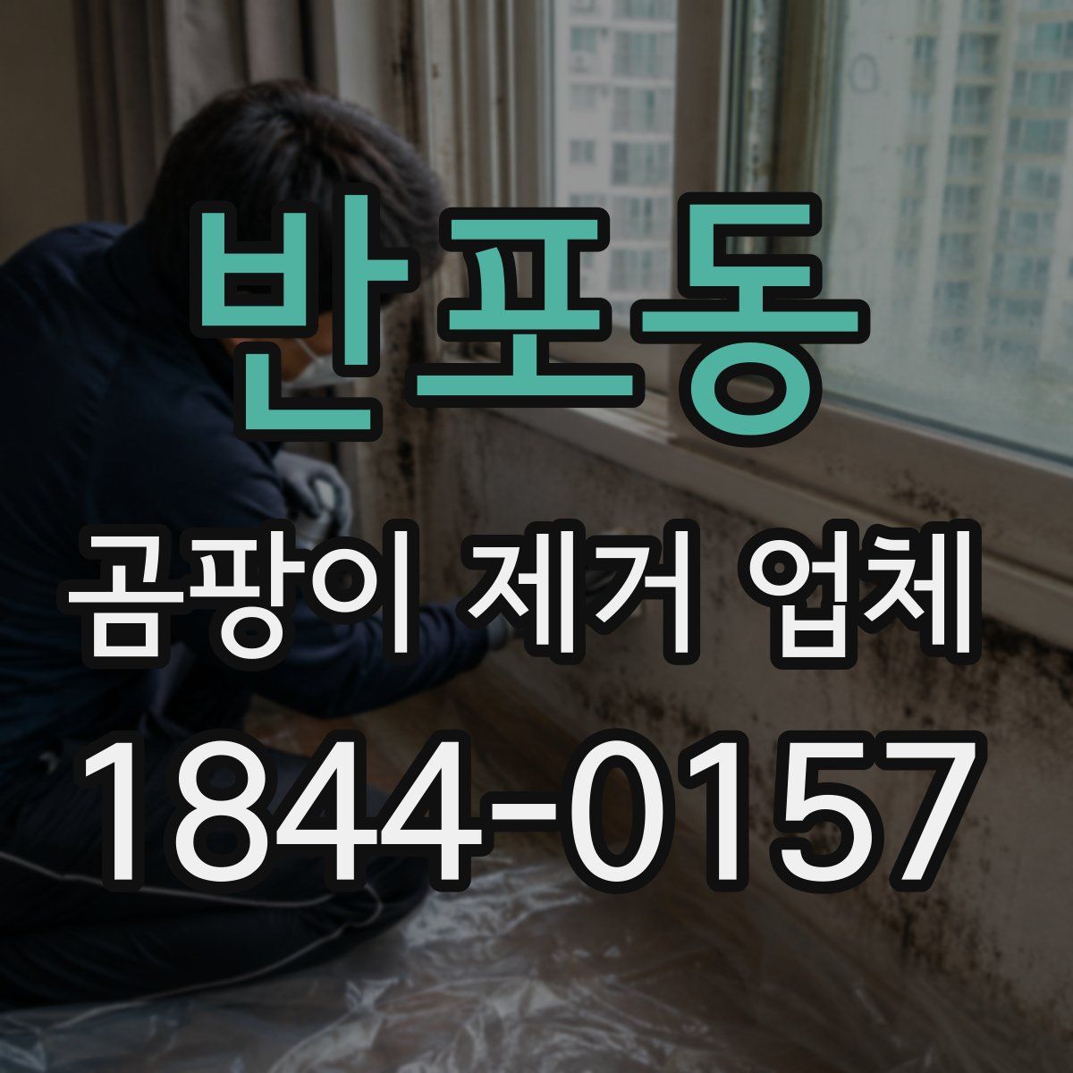 반포동 곰팡이 제거 업체