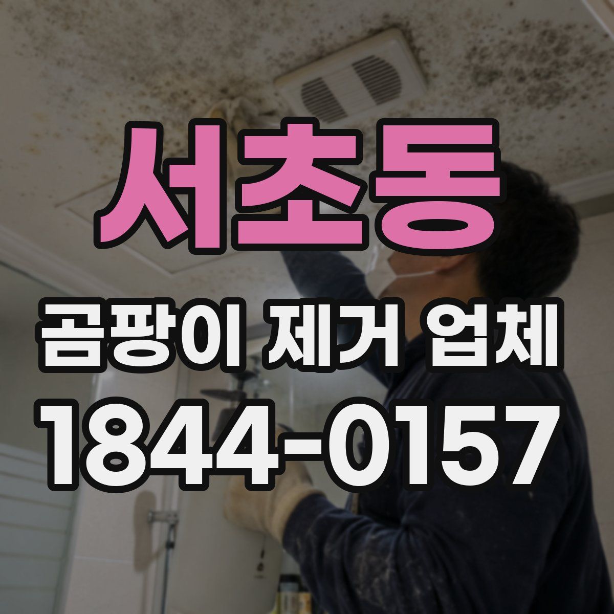 서초동 곰팡이 제거 업체