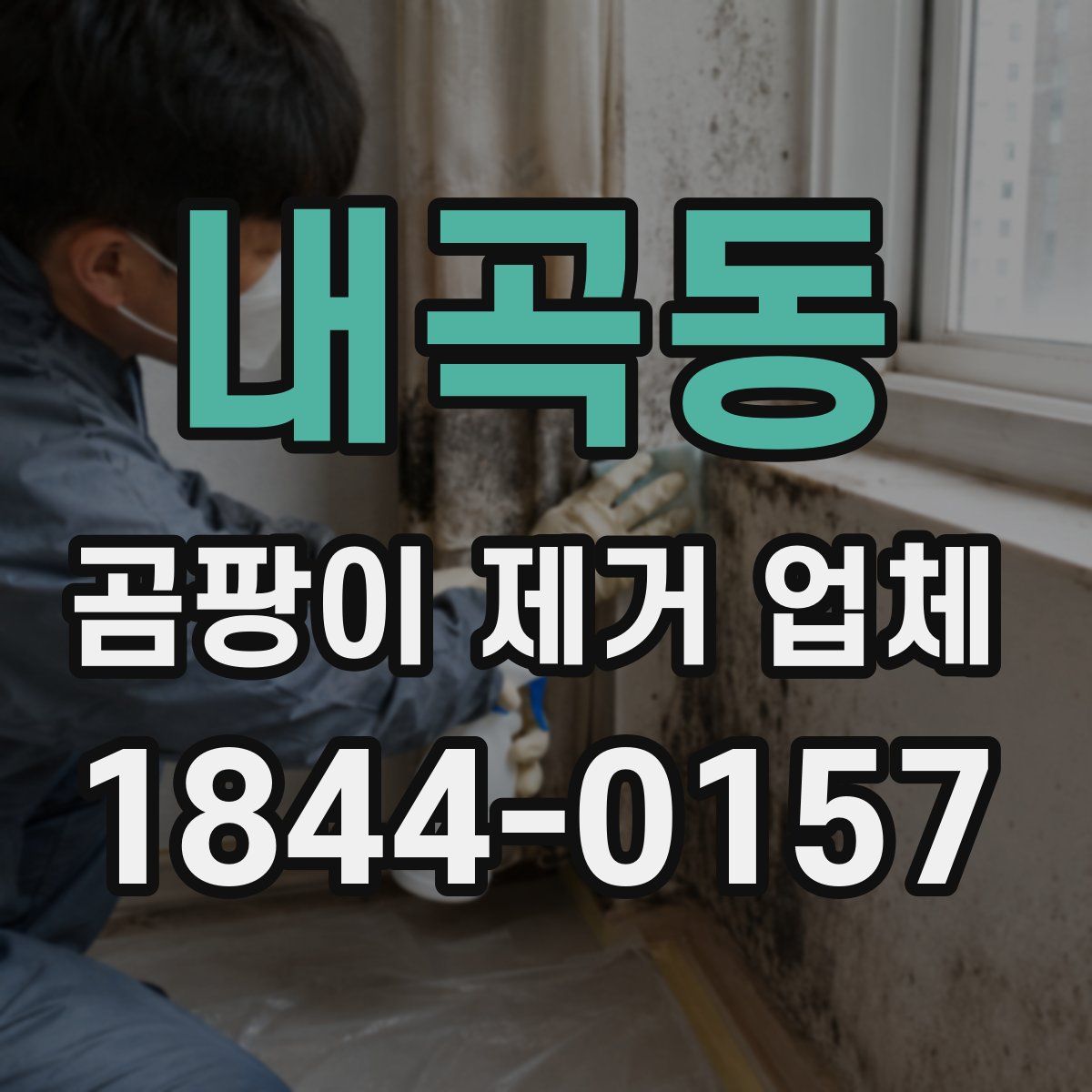 내곡동 곰팡이 제거 업체