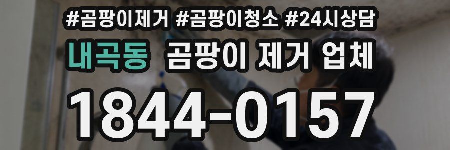 내곡동 곰팡이 제거 업체