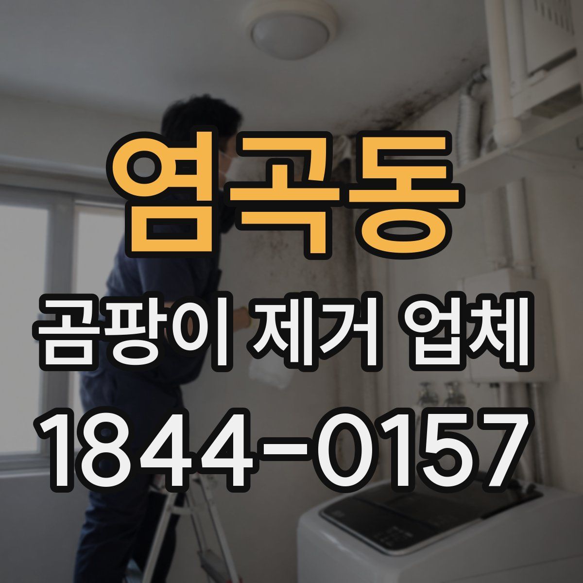 염곡동 곰팡이 제거 업체