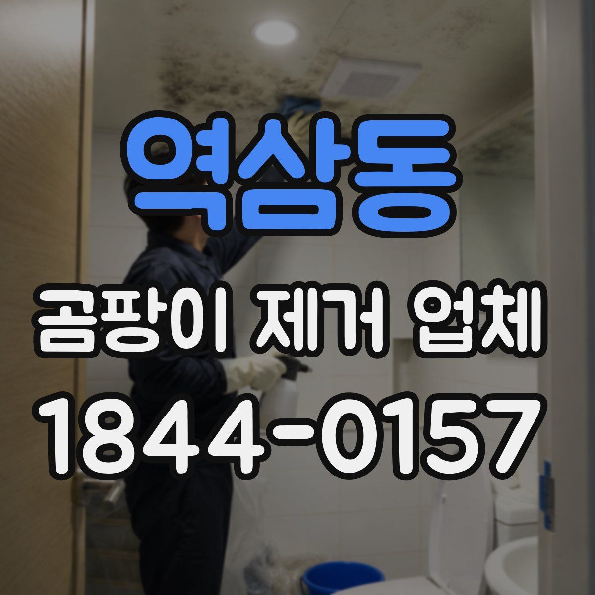역삼동 곰팡이 제거 업체
