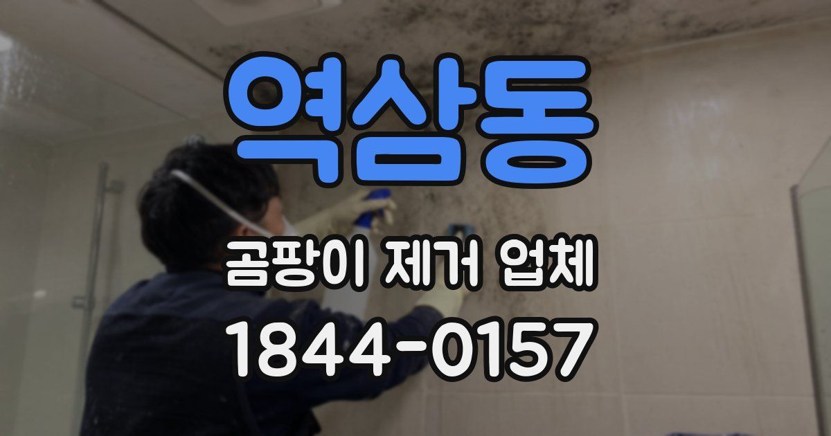 역삼동 곰팡이 제거 업체