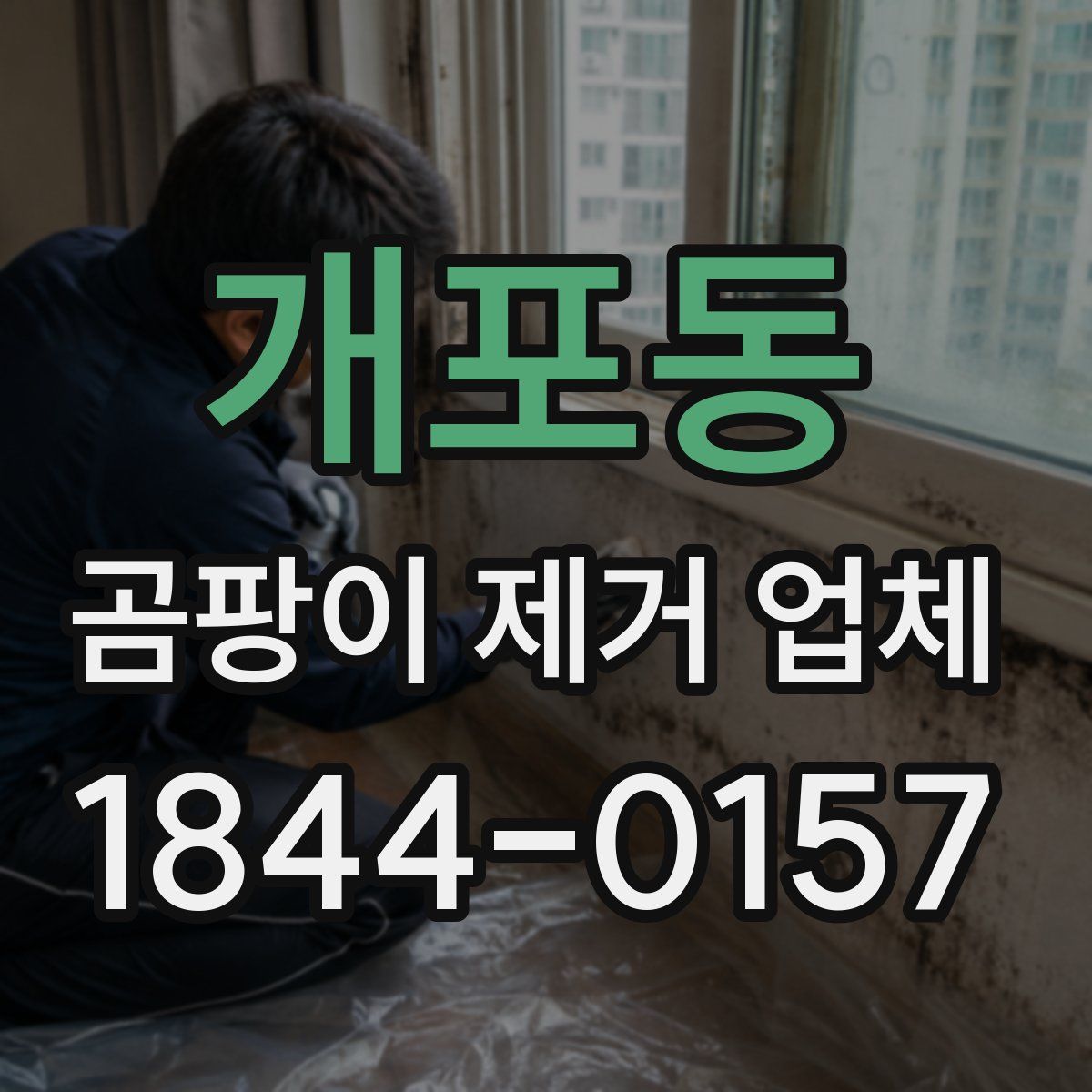 개포동 곰팡이 제거 업체