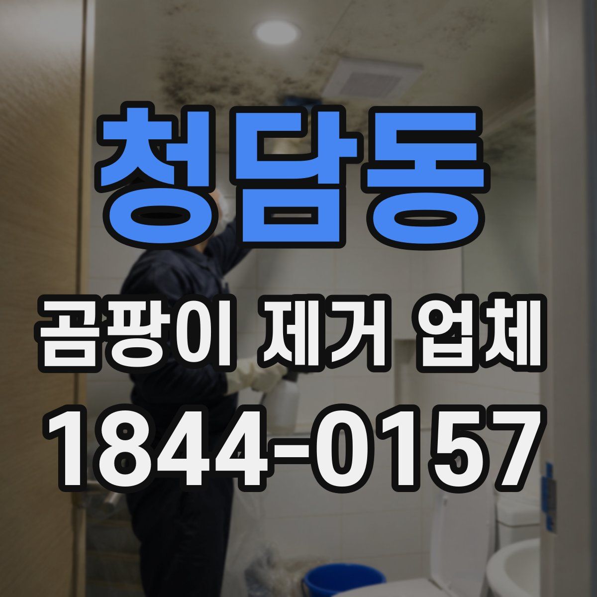 청담동 곰팡이 제거 업체