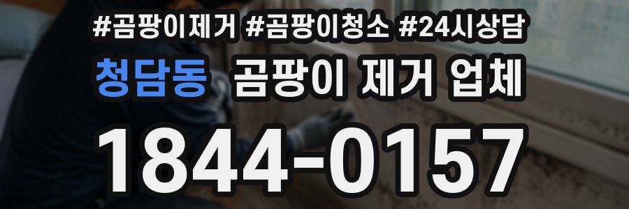 청담동 곰팡이 제거 업체