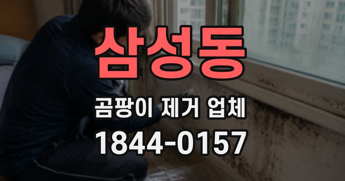 삼성동 곰팡이 제거 업체