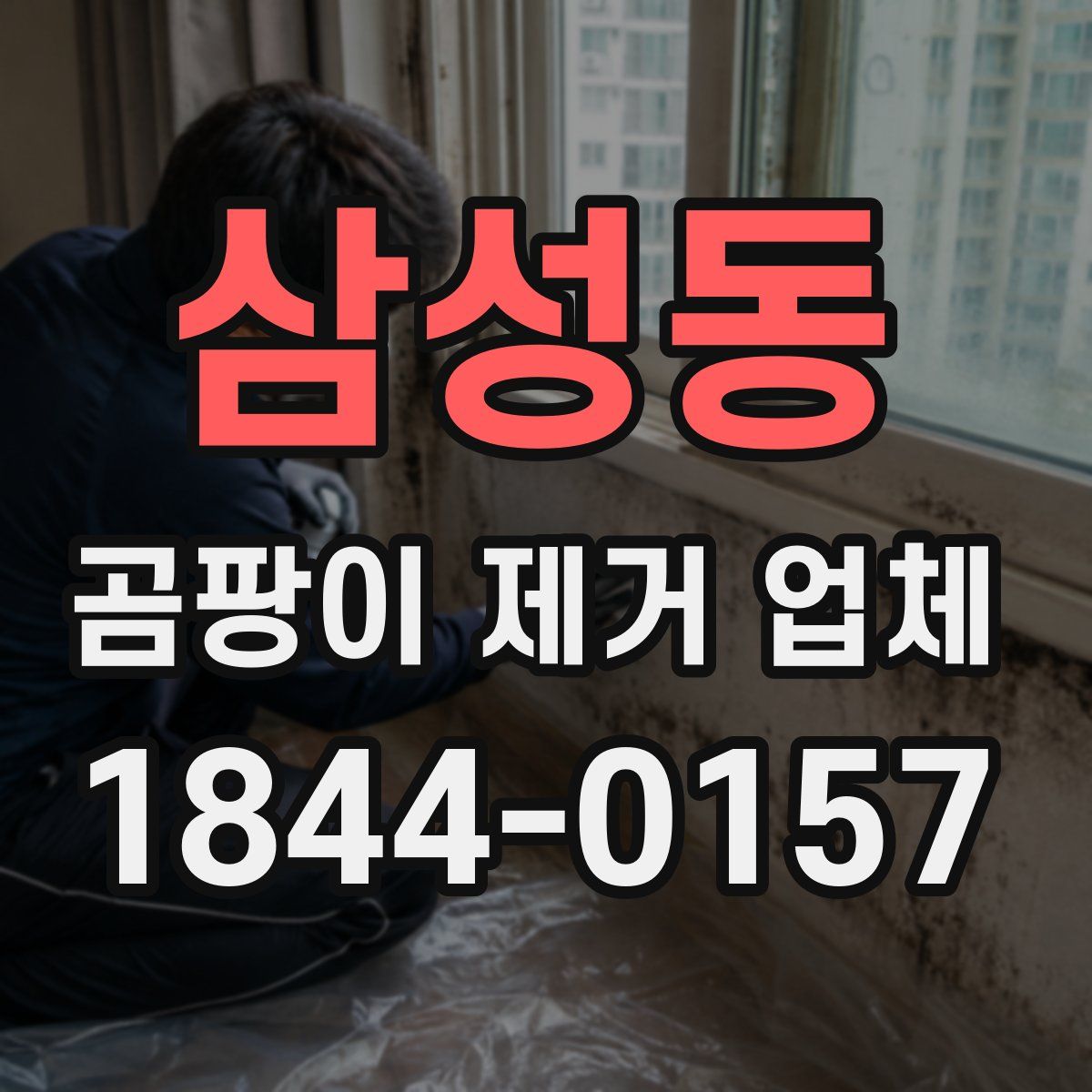 삼성동 곰팡이 제거 업체