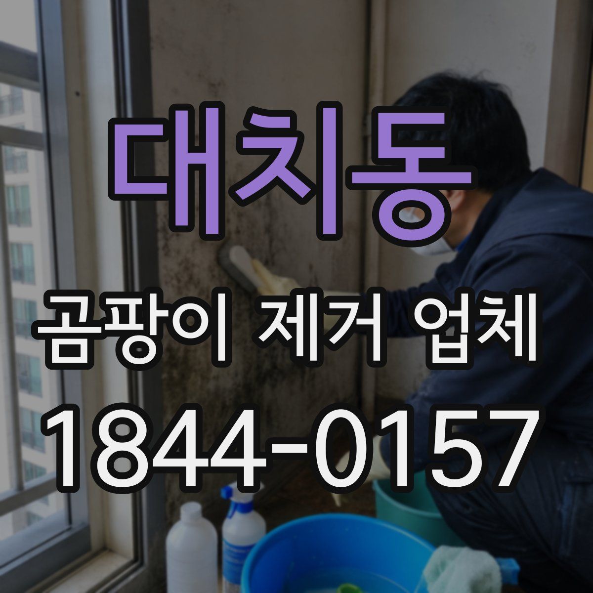 대치동 곰팡이 제거 업체