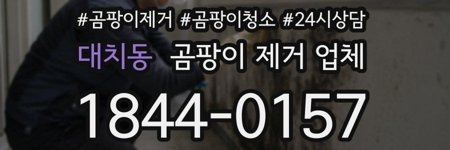 대치동 곰팡이 제거 업체