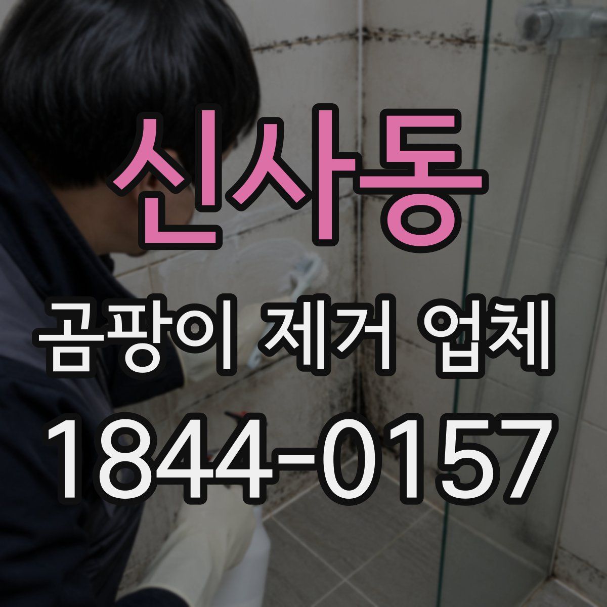 신사동 곰팡이 제거 업체