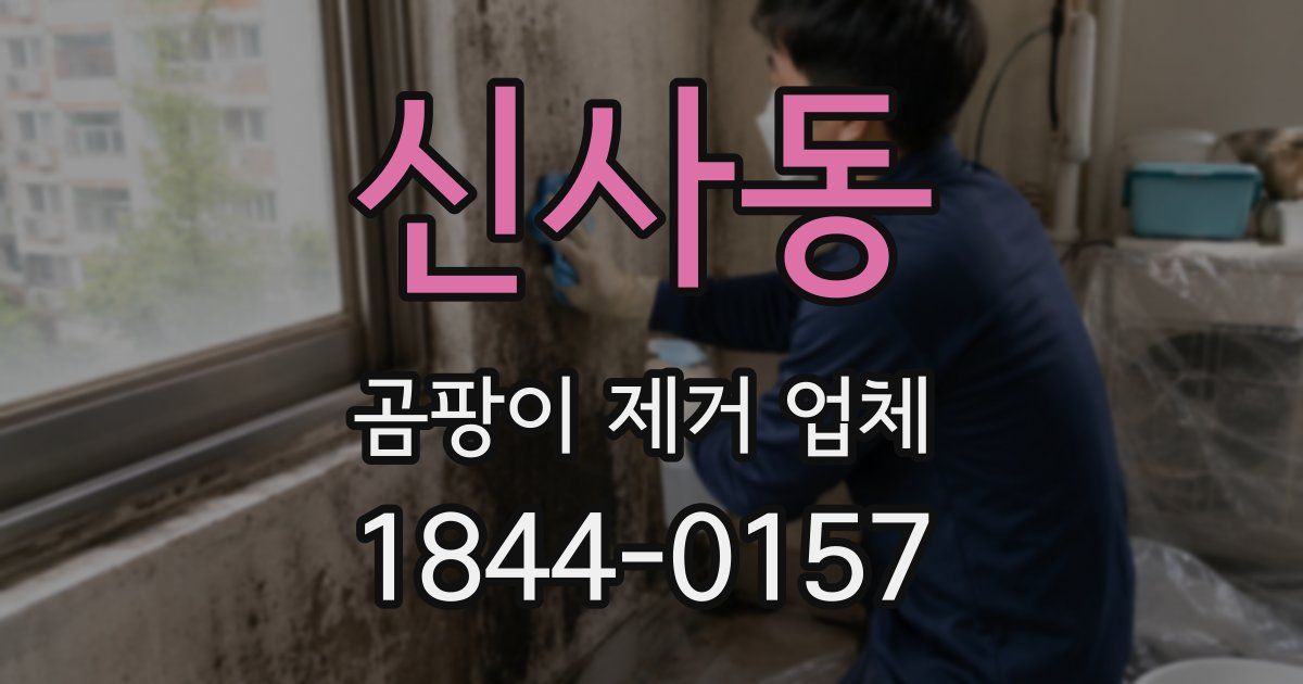 신사동 곰팡이 제거 업체