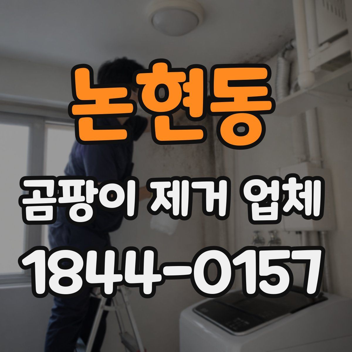 논현동 곰팡이 제거 업체
