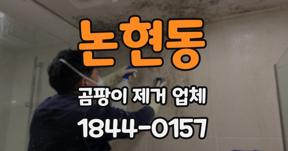 논현동 곰팡이 제거 업체