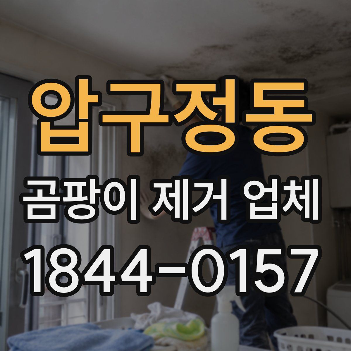 압구정동 곰팡이 제거 업체