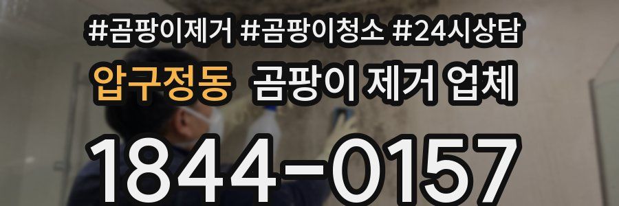 압구정동 곰팡이 제거 업체