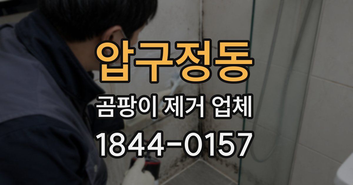 압구정동 곰팡이 제거 업체
