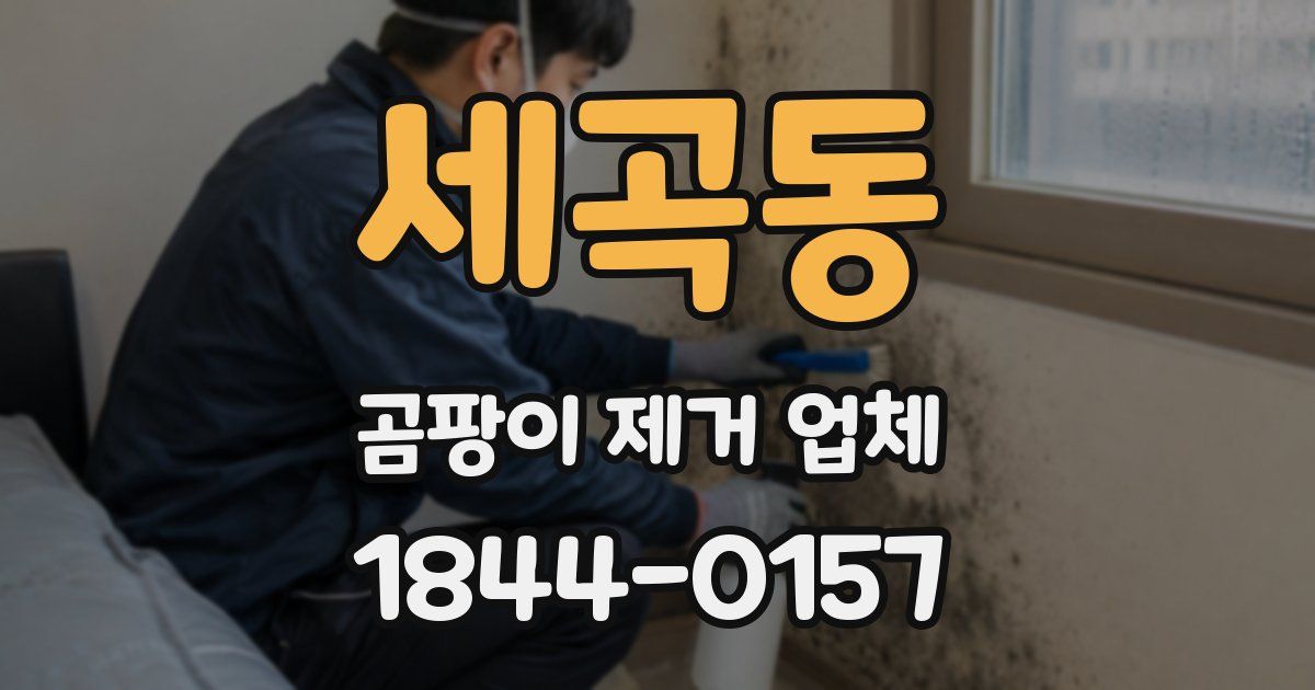 세곡동 곰팡이 제거 업체
