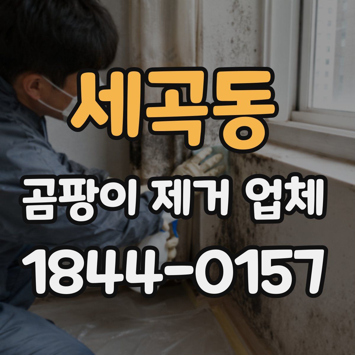 세곡동 곰팡이 제거 업체