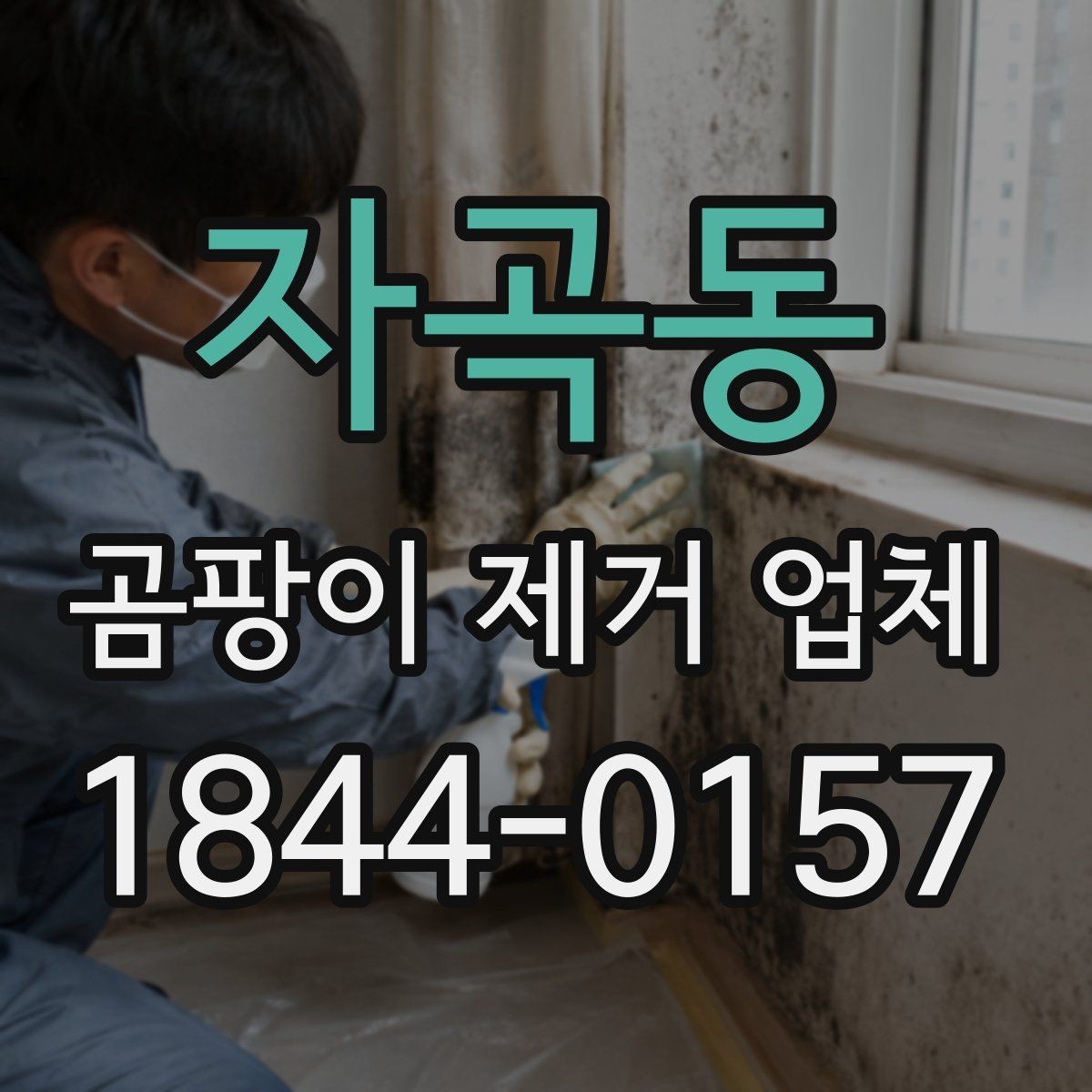 자곡동 곰팡이 제거 업체 코팅 시공 전후로 달라지는 재오염 관리 포인트