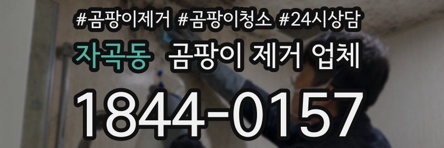 자곡동 곰팡이 제거 업체