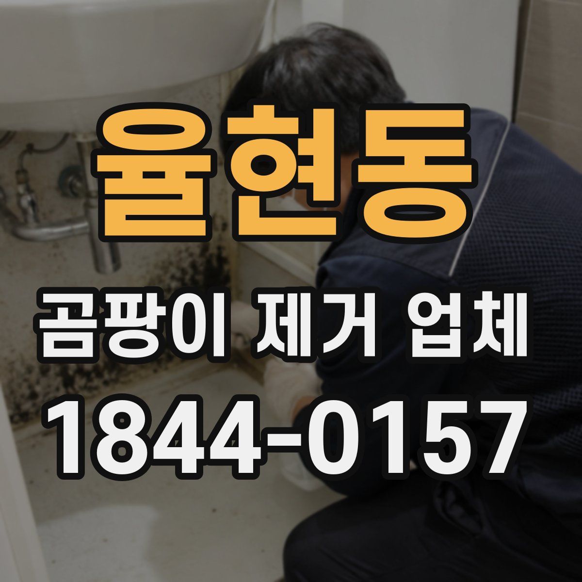 율현동 곰팡이 제거 업체