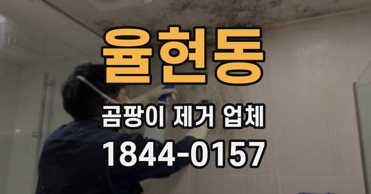 율현동 곰팡이 제거 업체