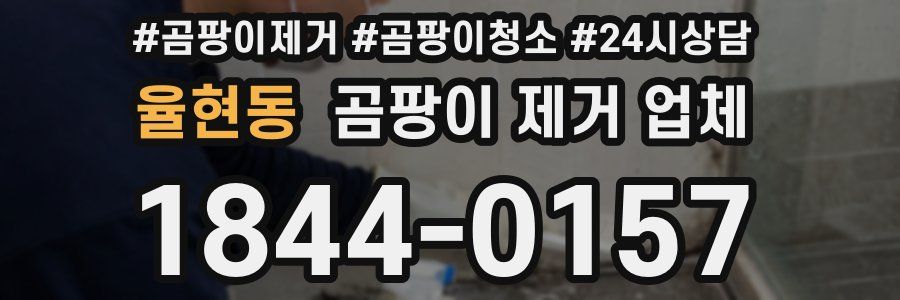 율현동 곰팡이 제거 업체