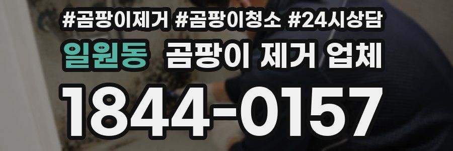 일원동 곰팡이 제거 업체