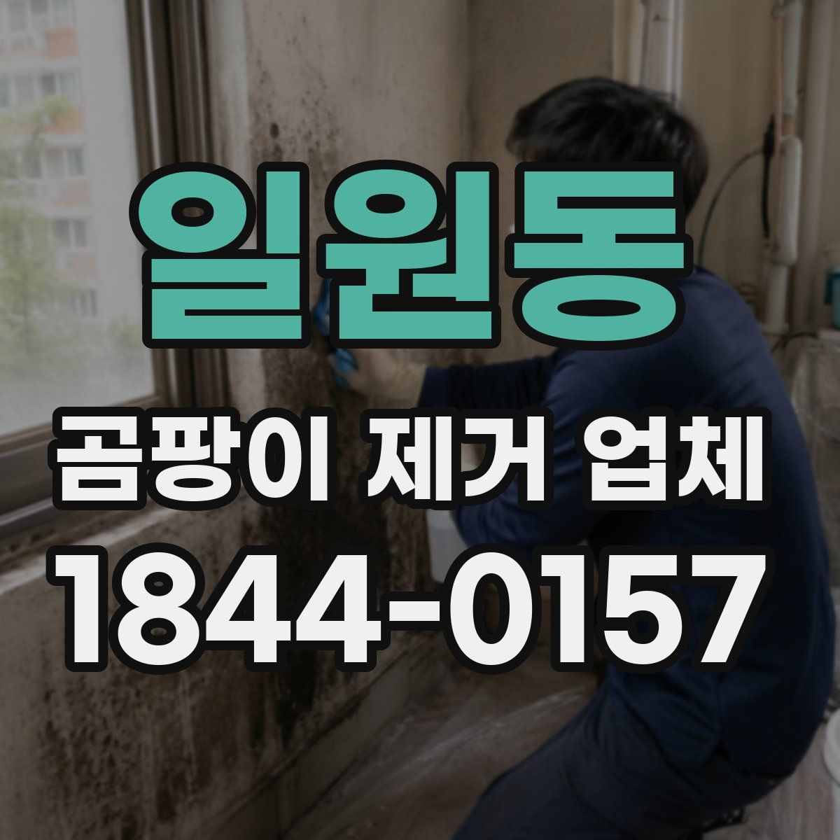 일원동 곰팡이 제거 업체
