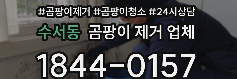 수서동 곰팡이 제거 업체