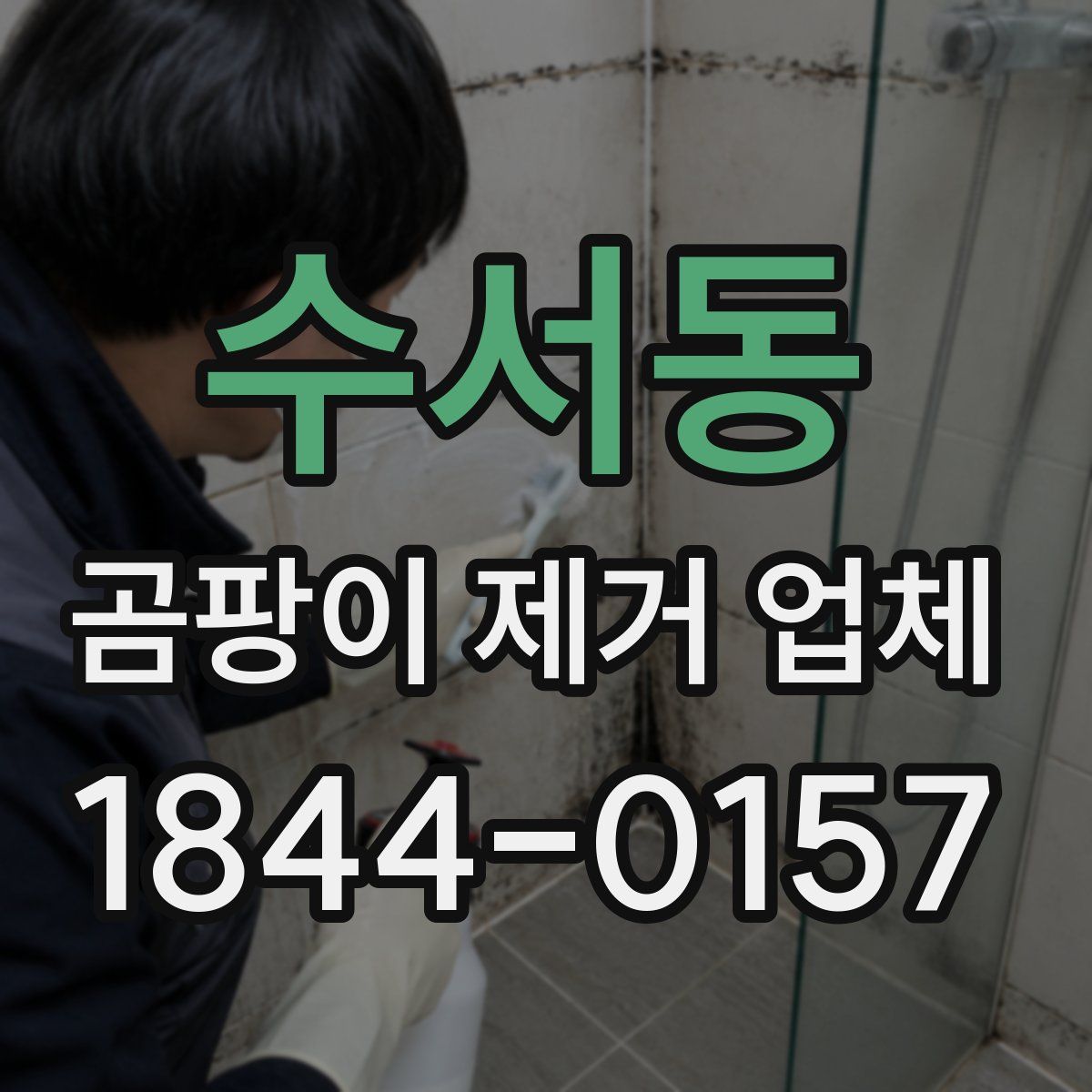 수서동 곰팡이 제거 업체