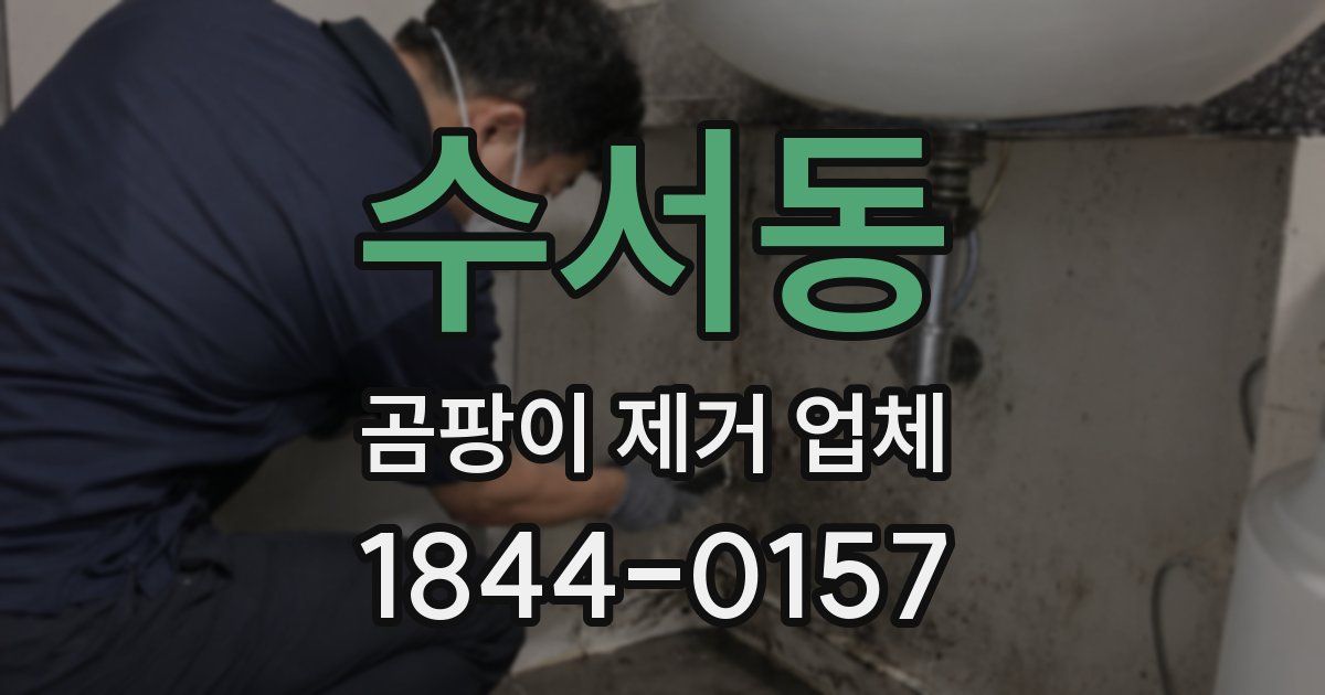 수서동 곰팡이 제거 업체