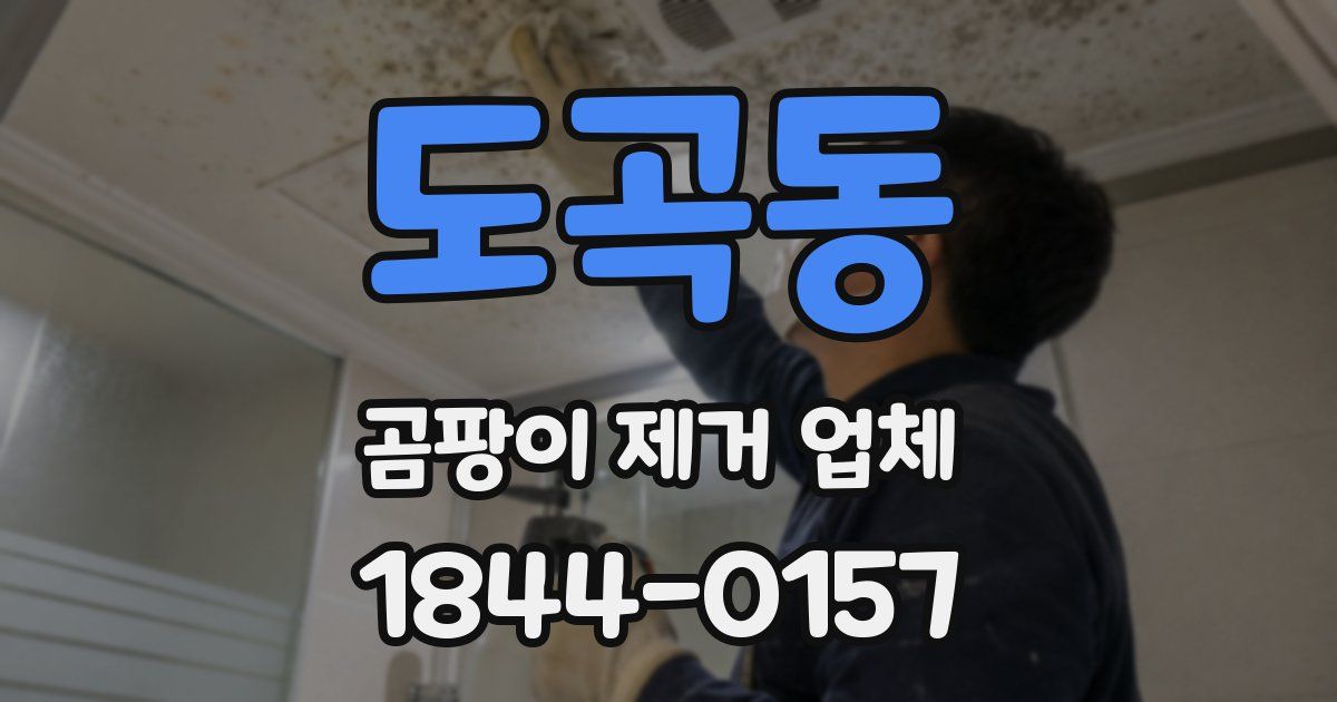 도곡동 곰팡이 제거 업체