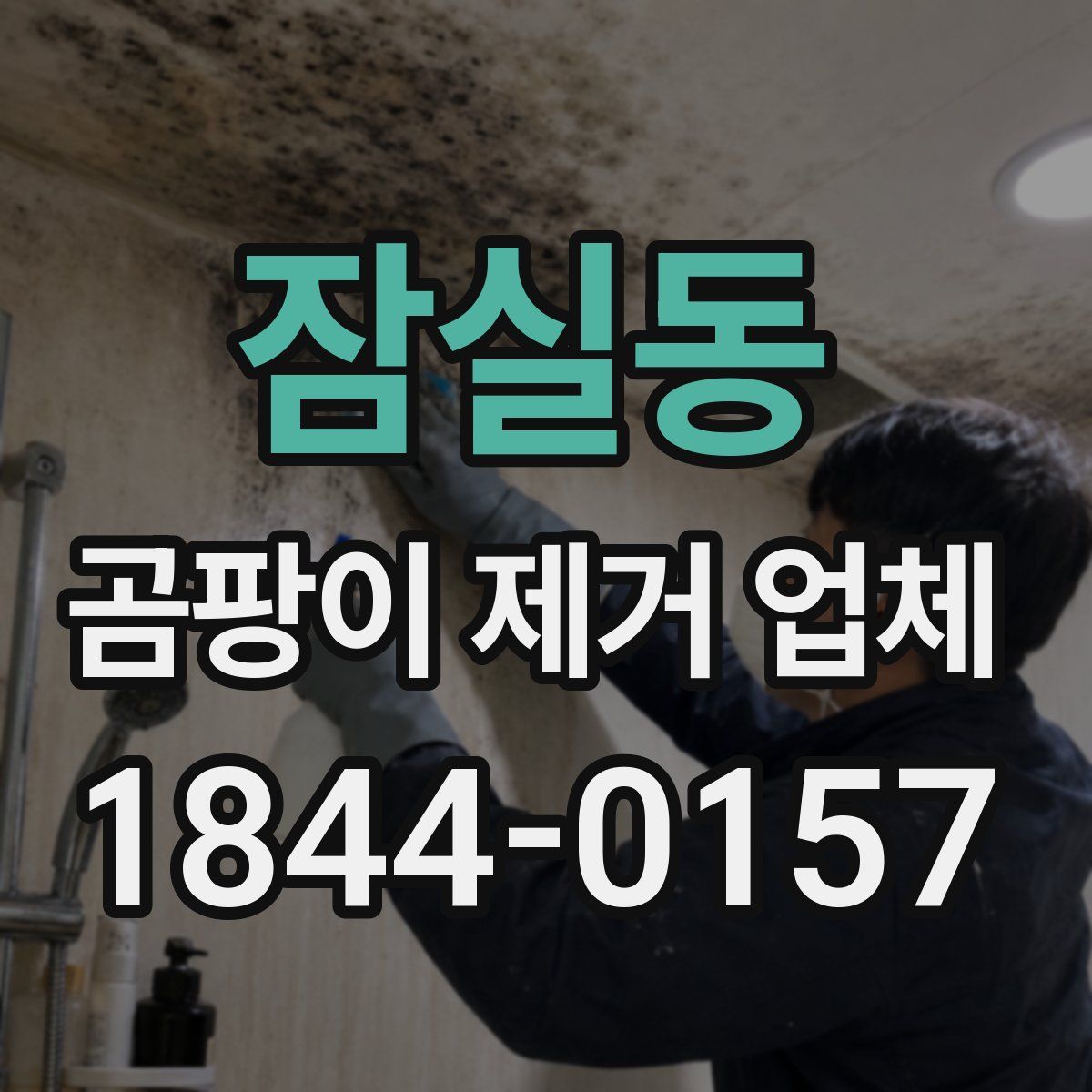 잠실동 곰팡이 제거 업체