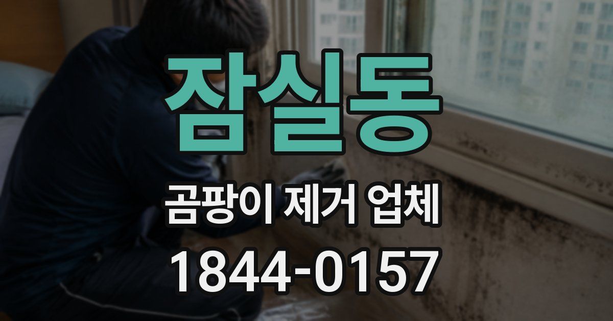 잠실동 곰팡이 제거 업체