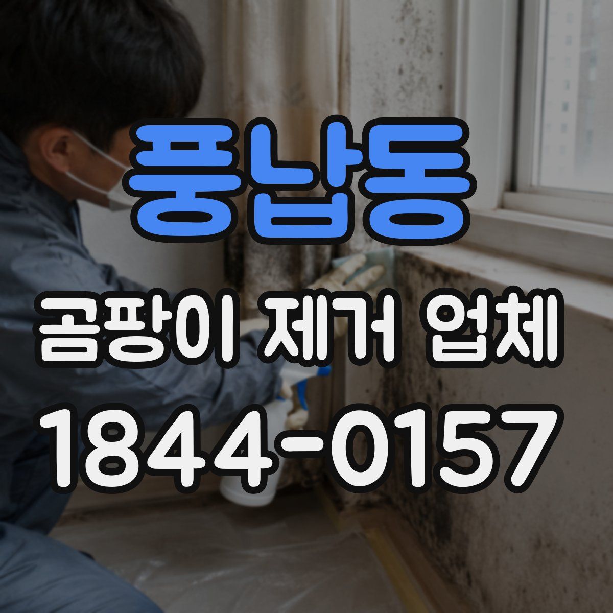 풍납동 곰팡이 제거 업체