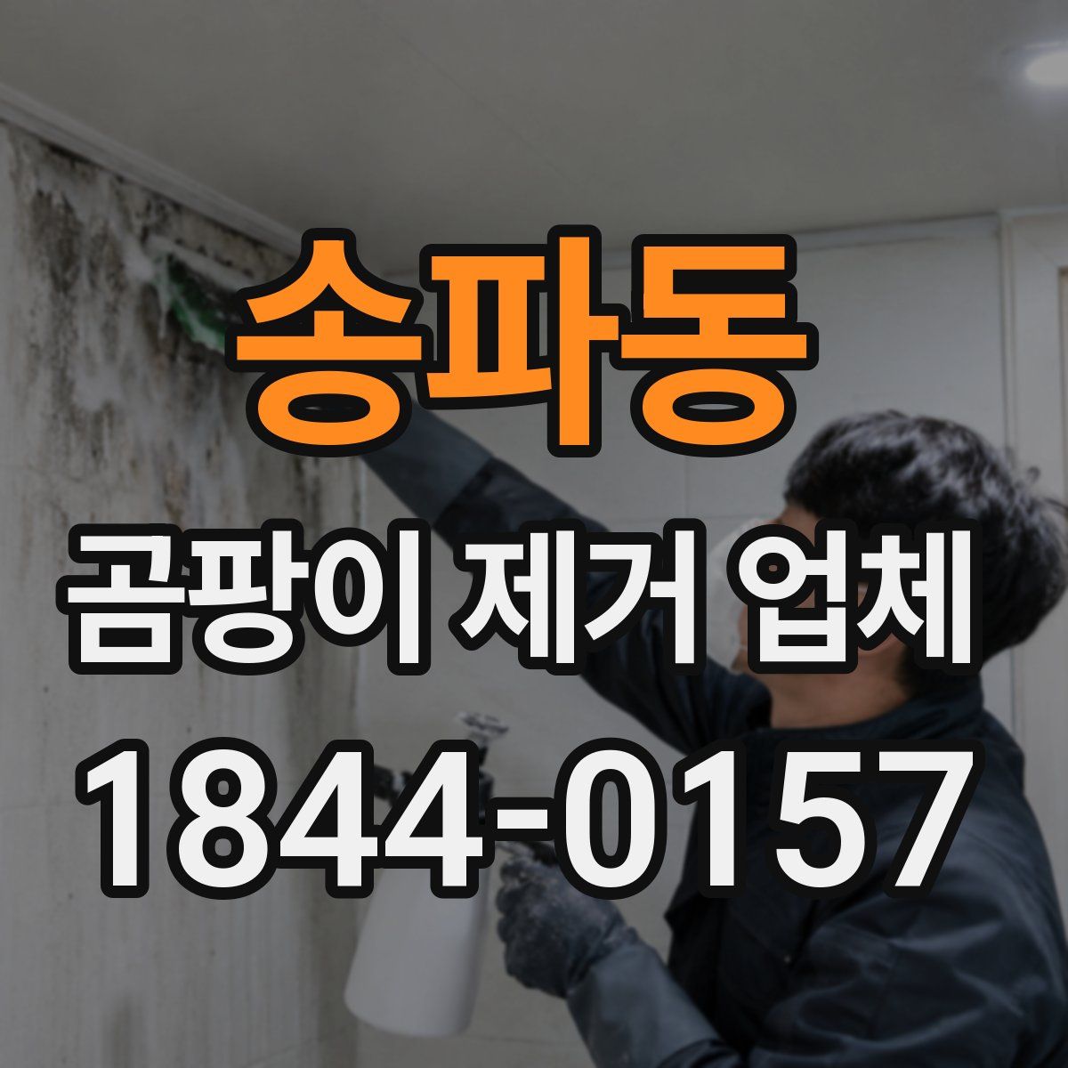 송파동 곰팡이 제거 업체