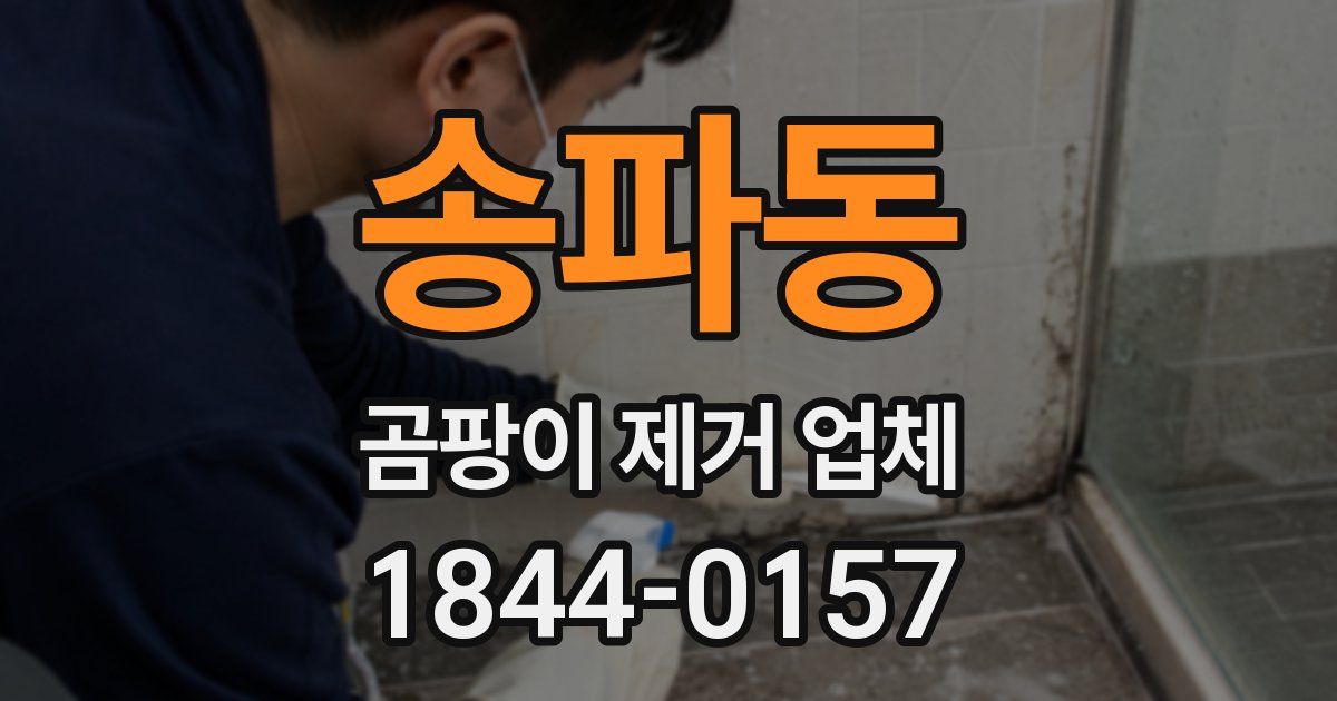송파동 곰팡이 제거 업체