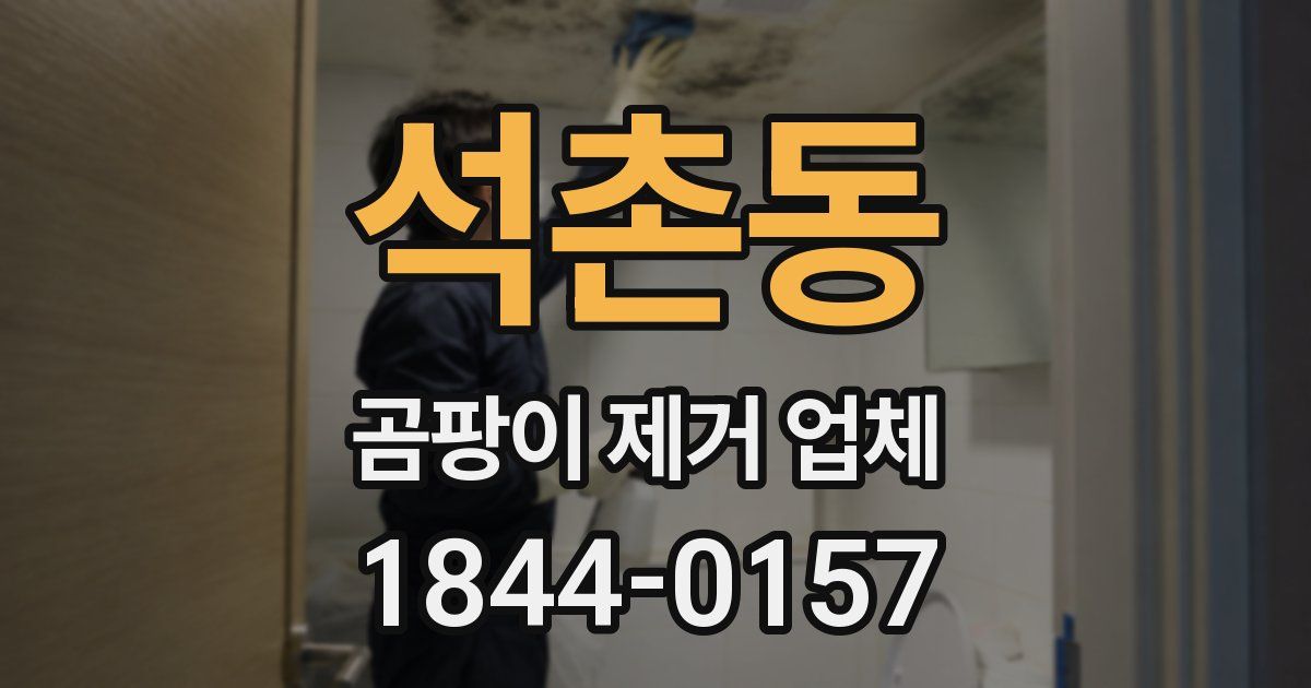석촌동 곰팡이 제거 업체