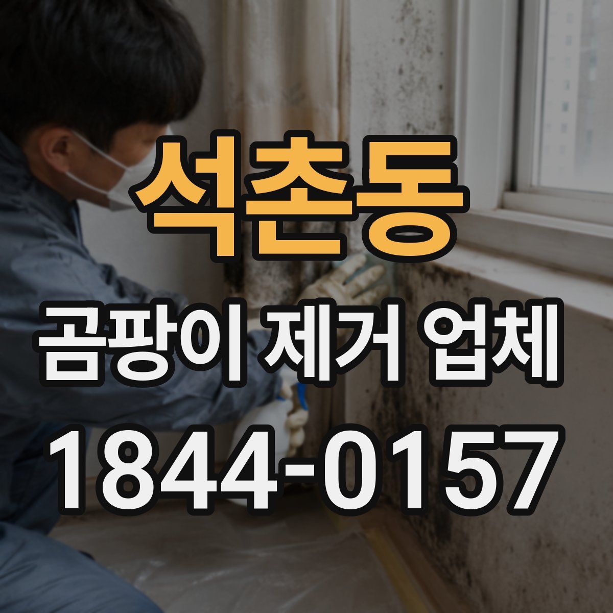 석촌동 곰팡이 제거 업체